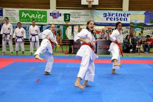 seibukan_Askoe_Bundesmeisterschaft_2010_072.jpg