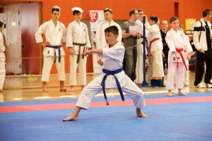 seibukan_Askoe_Landesmeisterschaft_in_Linz_Kirchdorf_2015_087.jpg
