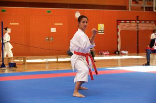 seibukan_Askoe_Landesmeisterschaft_in_Linz_Kirchdorf_2015_168.jpg