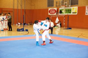 seibukan_Askoe_Landesmeisterschaft_in_Linz_Kirchdorf_2015_216.jpg