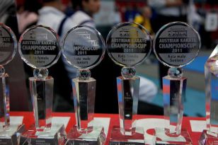 seibukan_Austrian_Champions_Cup_2011_010.jpg