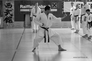 seibukan_KAMIKAZE_Sommercamp_Neuhofen_Krems_2012_118.jpg