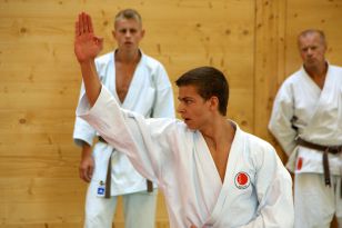 seibukan_Kyu_und_Dan_Pruefung_2011_035.jpg