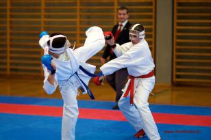 seibukan_OOE_LM_U10_U21_Senioren_Linz_Auhof_2012_098.jpg
