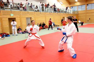seibukan_OOE_Landesmeisterschaft_2010_161.jpg
