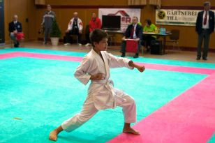 seibukan_Oesterr_Shotokan_Meisterschaft_2011_018.jpg
