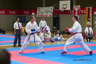seibukan_Oesterr_Staatsmeisterschaft_und_OEM_in_Wels _2015_105.jpg