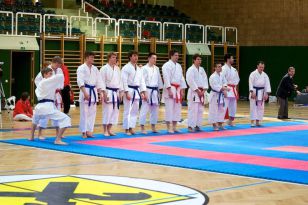 seibukan_Styrian_Open_Fuerstenfeld_2011_026.jpg